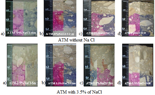Carbonation front: a) 6, b) 12, c) 18 and d)
24 months, respectively, in concrete cores exposed to ATM.