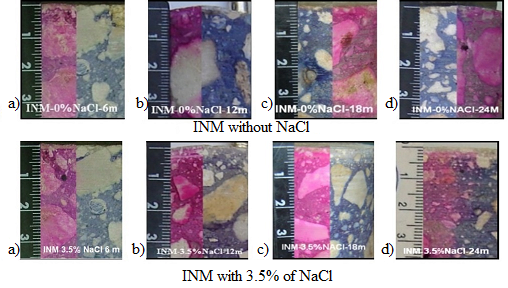 Carbonation front: a) 6, b) 12, c) 18 and d)
24 months, respectively, in concrete cores exposed to INM.