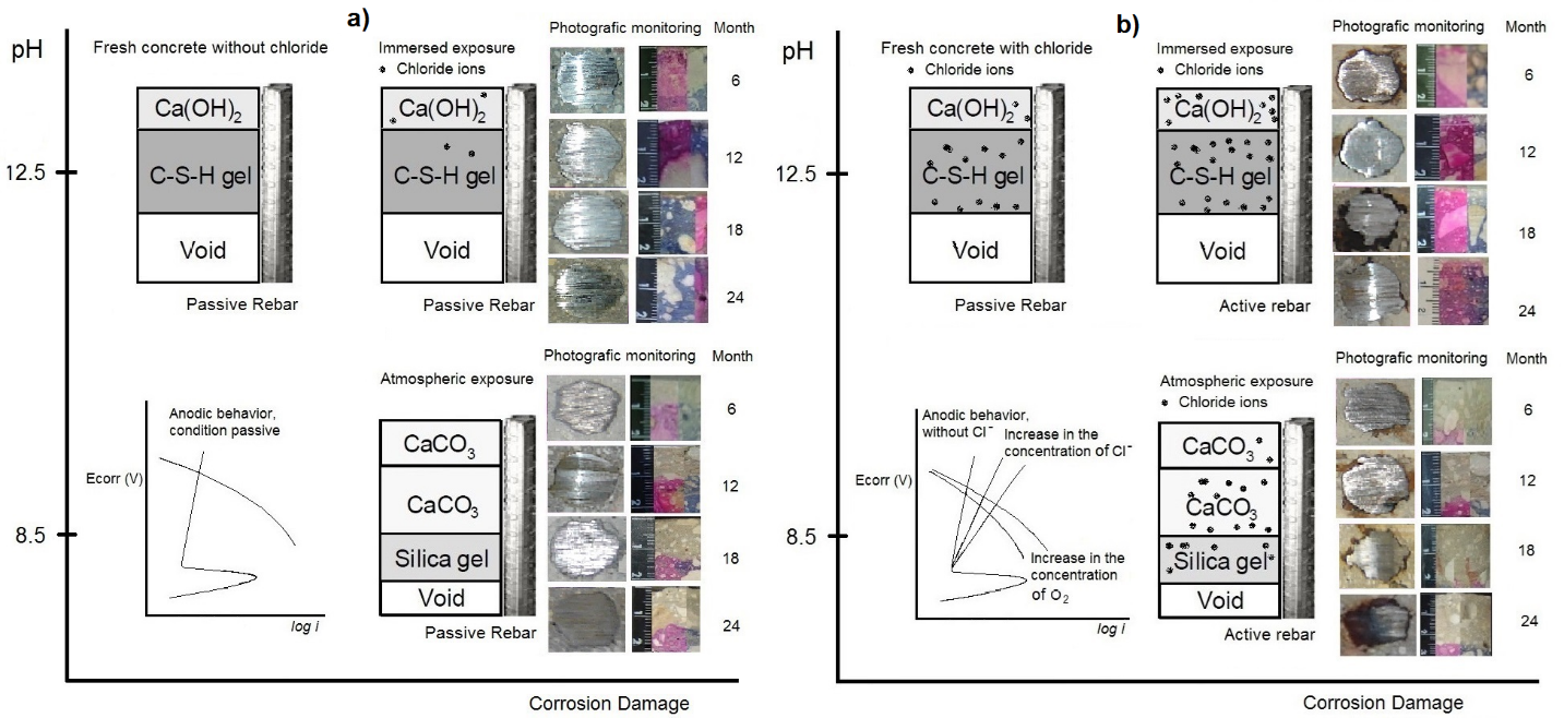 Summary of the damage progress in the
reinforced concrete in the exposure conditions a) without chlorides and b) with
chlorides, analyzed.