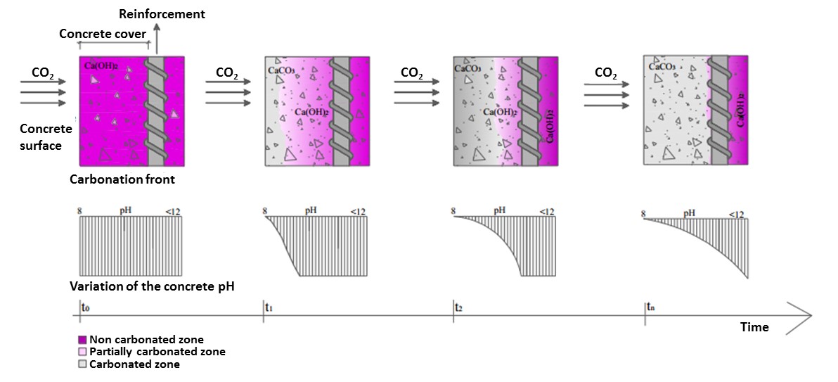 Advance of carbonation front vs pH reduction in concrete