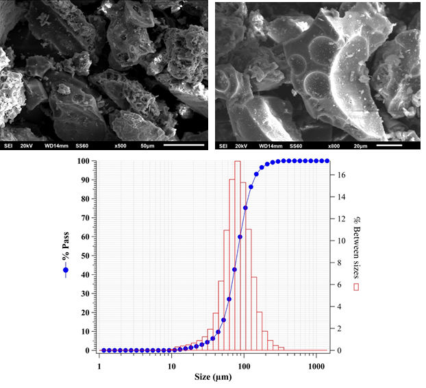 SEM microphotographs and
particle size distribution curves of SCBA.