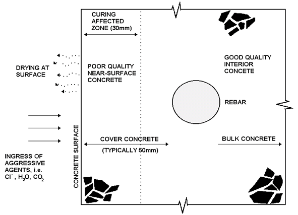Schematic of cover layer of concrete