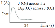 Typical curve of the cathodic current versus Time obtained in
the tests carried out.