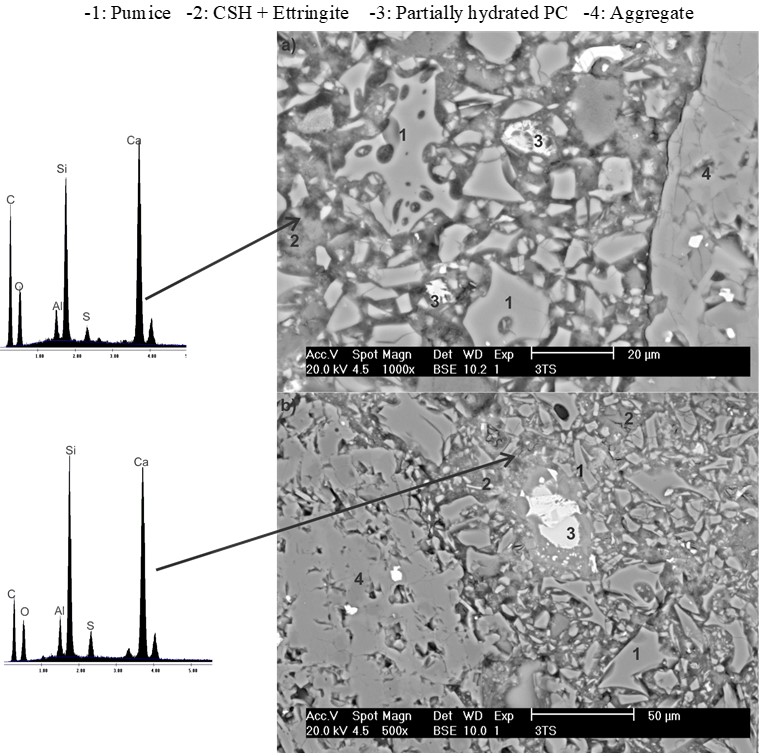 SEM images with backscattered electrons of the C-3 concrete (5%An-10%PC-10%CaO-75%PM) for the
T60 regime immersed in a 3.5% CaSO4 solution at 25 °C for 90 days.